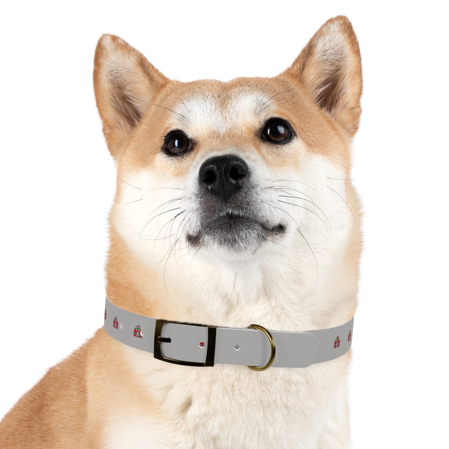 Dog Collar