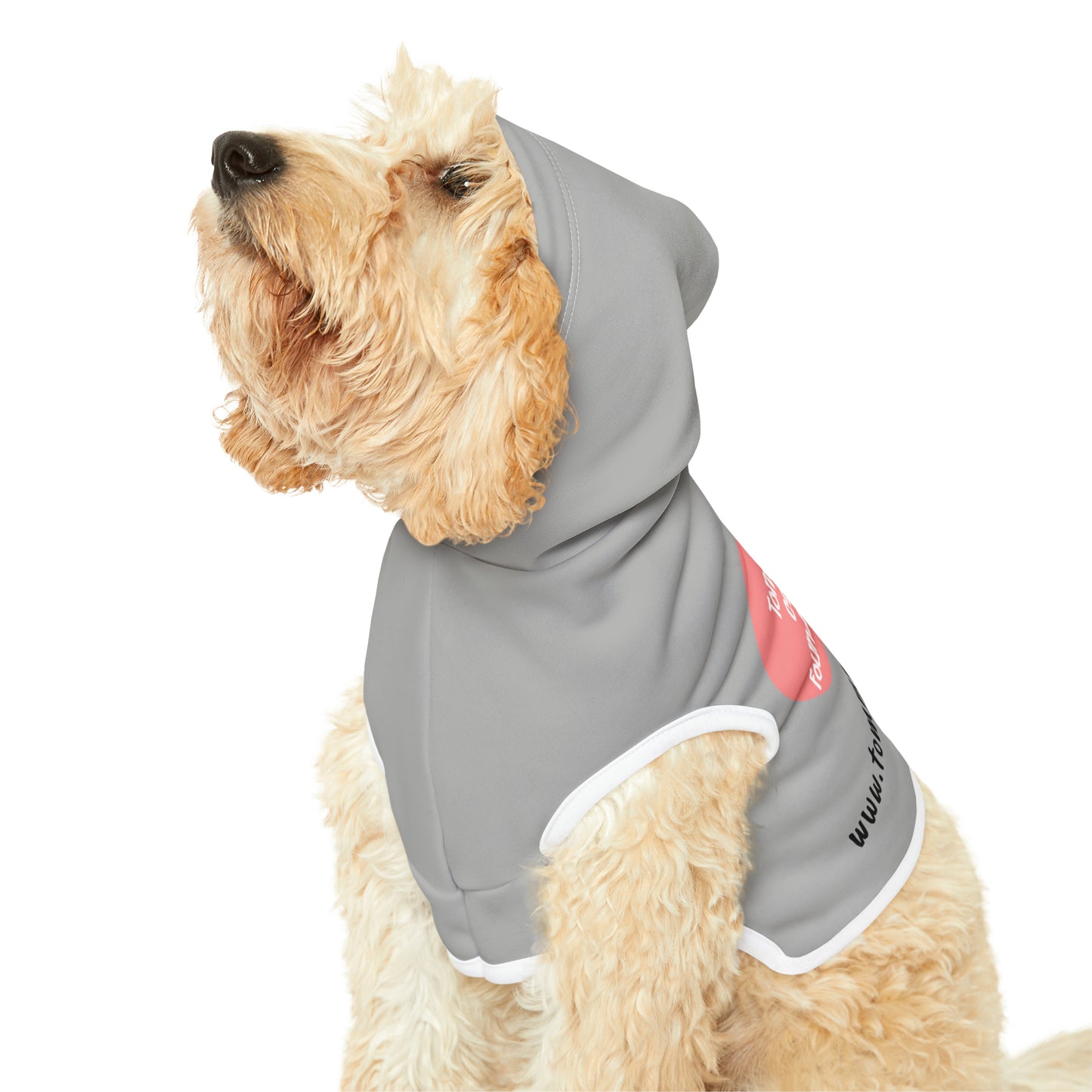 Pet Hoodie