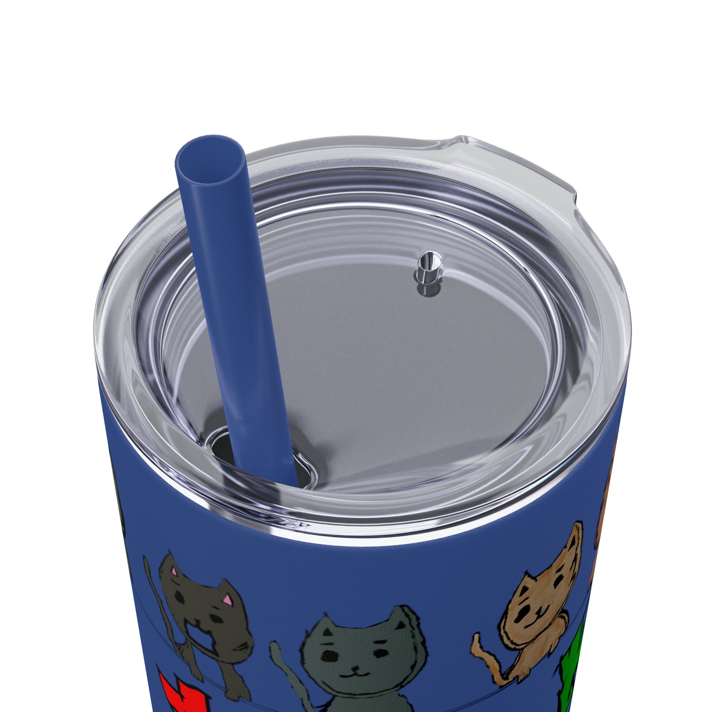 Skinny Tumbler with Straw, 20oz