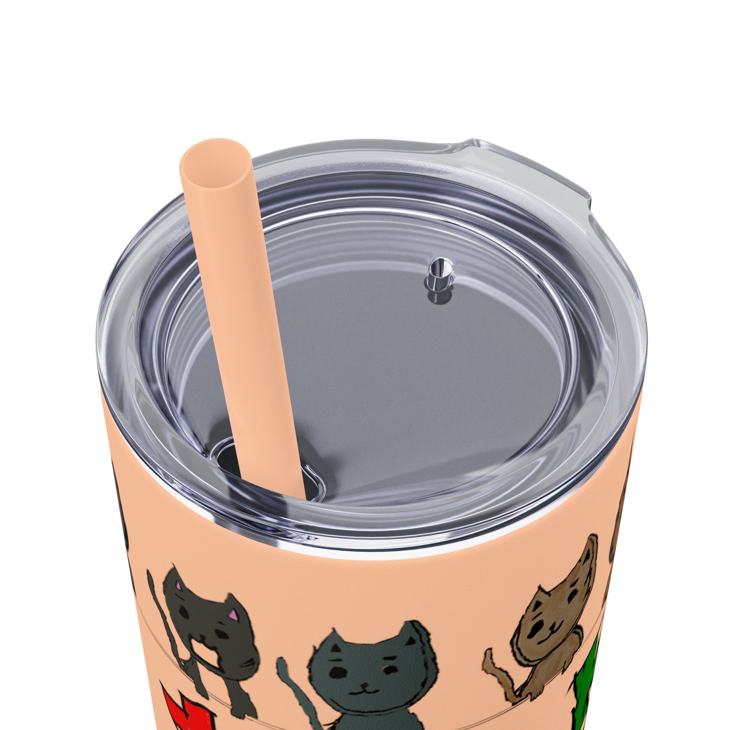 Skinny Tumbler with Straw, 20oz